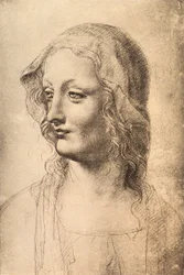 Nuoren naisen pää, Leonardo da Vincin piirustus, Piirustus- ja grafiikkakaappi, Uffizi, Firenze