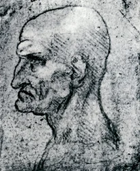 Vanhan miehen pää, 1913