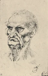 Vanhan miehen pää kolme neljäsosaa vasemmalle, c1480 1945