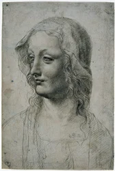 Maestro della Pala Sforzesca (milanolainen Leonardo da Vincin oppilas), naispää hunnulla, ehkä työ Neitsyelle, GDSU 426 E