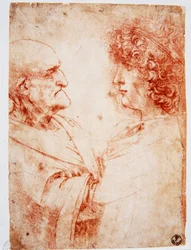 Kahden miehen profiilit, vanha mies ja nuori mies. Nuori mies esittää Gian Giacomo Caprottia, joka tunnetaan nimillä Andrea Salai tai Salaij (noin 1480-1524), Leonardon oppilas ja rakastettu. Firenze