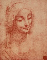 Naisen kasvot, Leonardo da Vincin piirustus. Gallerie dell