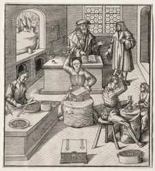 El jove Maximilian al Mintfinnish