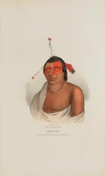 PE-A-JICK; A Chippewa Chief, Aboriginal Portfolio -teoksesta.