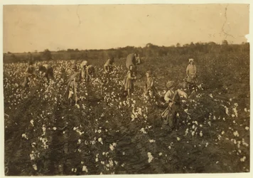 Perhe poimii puuvillaa McKinneyn lähellä Texasissa, 1913