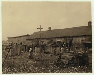 Maggioni Canning Co:n noin 50 työntekijän asunnot Port Royalissa, Etelä-Carolinassa, suoalueen ympäröiminä vanhan simpukankuorikasan päällä, 1912