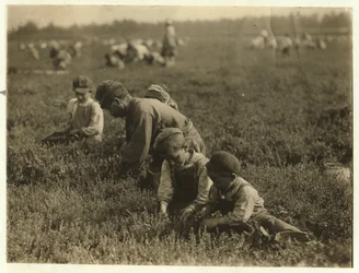 Jo Arnao 3, poimii karpaloita 6-vuotiaan veljensä ja 9-vuotiaan sisarensa kanssa Whites Bogissa, Browns Millsissä, New Jerseyssä, 1910.