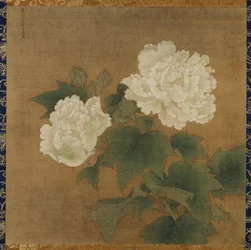 Valkoiset hibiskit