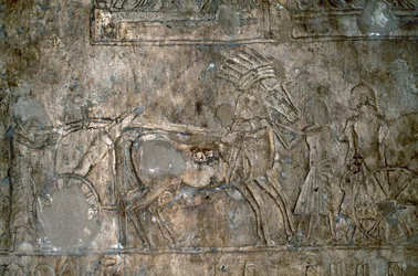 Basreliefi vaunulla, Tell el-Amarnan nekropolis, Egypti, Egyptin sivilisaatio, Uusi kuningaskunta, XVIII-dynastia