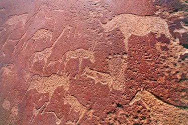 Namibia, Damaralandin erämaa-alue, Twyfelfontein, Brandberg-vuoret, kivikautiset kalliokaiverrukset