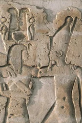 Relief portiossa