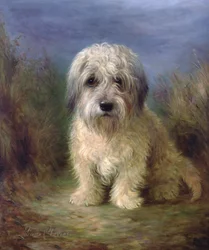 Dandie Dinmont Terrieri (öljy kankaalle)
