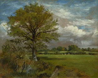 Puu niityllä, noin 1850