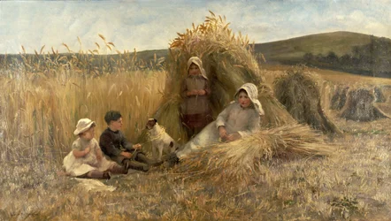 Nuoret sadonkorjaajat