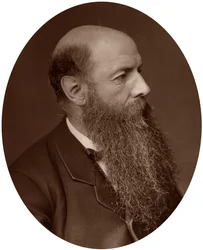 Sir Wilfrid Lawson, poliitikko, Carlislen kansanedustaja, 1882.