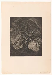 Arbre amb branques nues L