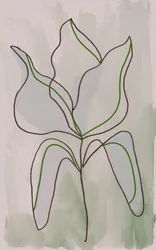 Minimalistinen kasvitieteellinen piirros