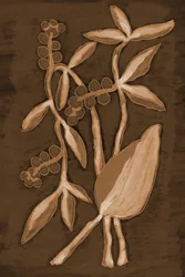 Orgaaniset Sepia Botanicals -tuotteet