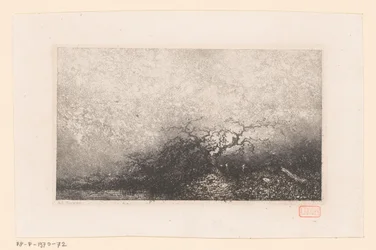 Maisema puulla uima-altaalla Erilaisia ​​maisemia (sarjan nimi) Croquis du voyage de 1843 (sarjan nimi)