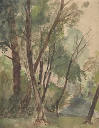 Puut lammen vieressä, 1853-1878.