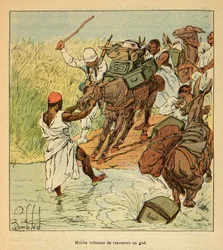 Madagaskarin sota - Henri Galli dit Galllichetin (1854-1922) ranskalaisten tutkimusmatkojen anekdoottinen historia, kuvittanut Louis Bombled (1862-1927): Muletit kieltäytyivät ristiriidassa Ranskan retkikunnan Madagaskarille vuonna 1895. , yksityinen C