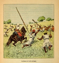 Madagaskarin sota - Henri Galli dit Galllichetin (1854-1922) ranskalaisten tutkimusretkien anekdoottinen historia, kuvittanut Louis Bombled (1862-1927): Villihärkien metsästys Madagaskarilla vuonna 1895, yksityinen kokoelma