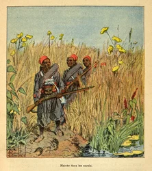 Madagaskarin sota - Henri Galli dit Galllichet (1854-1922) ranskalaisten retkien 1885-1895 anekdoottinen historia, kuvittanut Louis Bombled (1862-1927): Ranskan joukot retkillä Madagaskarin suoilla vuonna 1895, yksityinen kokoelma
