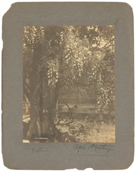 Tiffany Studios, n. 1898-1920 (valokuva mustavalkoinen)
