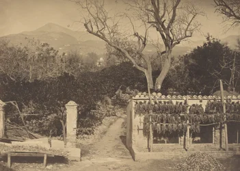 Maatalousmaisema vuorilla, 1850-luku.