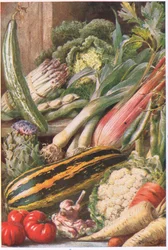 Puutarhavihannekset, kuvitus teoksesta "Garden Ways and Garden Days" (värilitho)