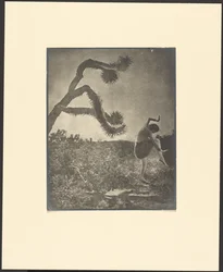 Apassitanssi