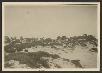 [Dunes]
