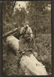 [Fleckenstein on a Log]