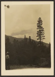 [Idyllwild]