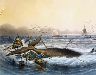 Valaanpyynti Etelämerellä, Louis Lebretonin (kuollut 1866) värilitografia
