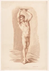 mies alaston