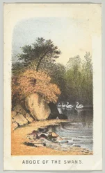 Abode of the Swans, sarjasta Views in Central Park, New York, osa 2, 1864.