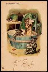 Aamukylpy. Animaux en posture d