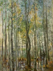 Metsä. Starnberg-järven tulvat