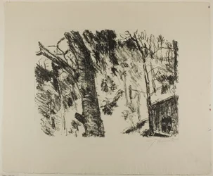 Beech Woods, Early Spring in the Mountainsista