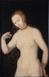 Venus, Vuosien 1527 ja 1531 välillä.