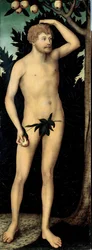 ""Adam"" Lucas Cranach II nuoremman maalaus (1515-1586) Vuoden 1537 jälkeen, koko 171 x 63 cm Saksa Dresdenin valtion taidekokoelmat