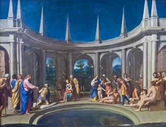 Probatic Pool