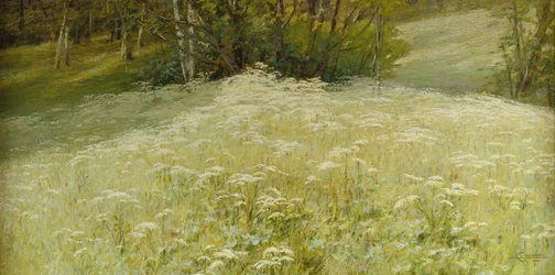 Niitty (öljy kankaalle)