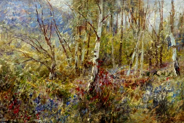 Woodland, kirjoittanut Ludovico Cavaleri (1867-1942), öljy paneelille, 50x75 cm