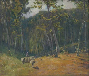 Lampaat metsässä