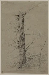 puu, c. 1835-45.