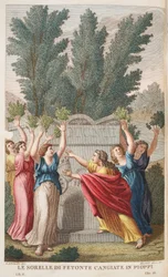 Heliades puihin, jotka tuottavat meripihkaa tai Le Sorelle di Fetonte Cangiante Piopissa, kuva Ovidiuksen Metamorphosesista, Firenze, 1832 (käsinvärinen kaiverrus)