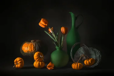 Oranssinvihreä syyssato