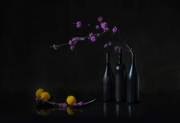 Tumma asetelma violeteilla marjoilla